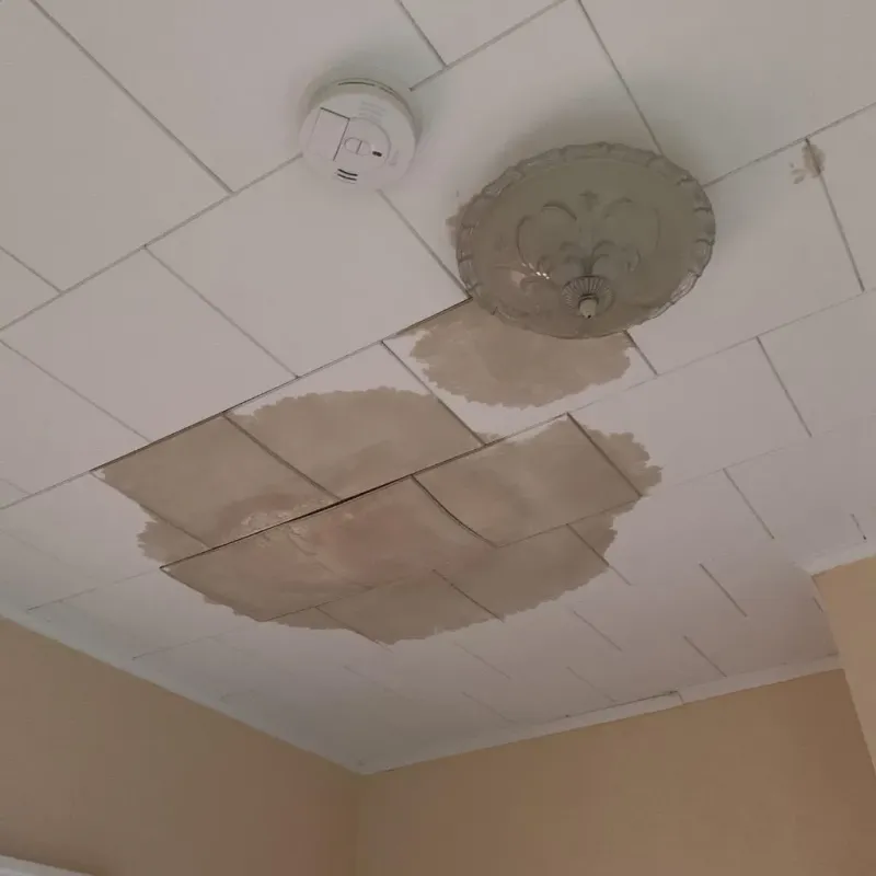 Ceiling Water Damage Repair in Luzerne County, PA