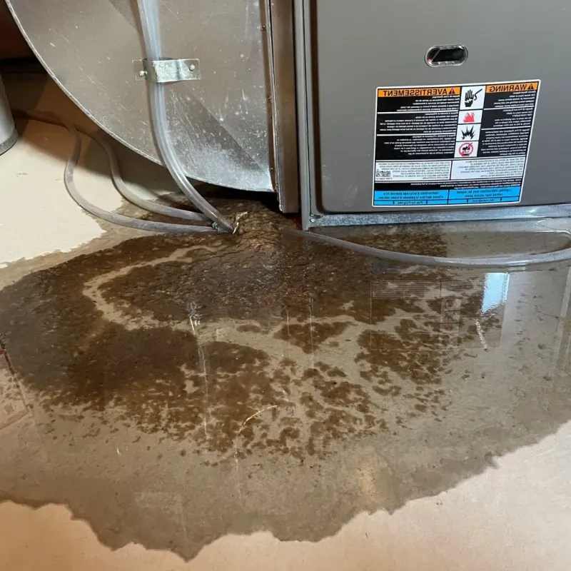 Pipe Burst and Leak Restoration in Luzerne County, PA