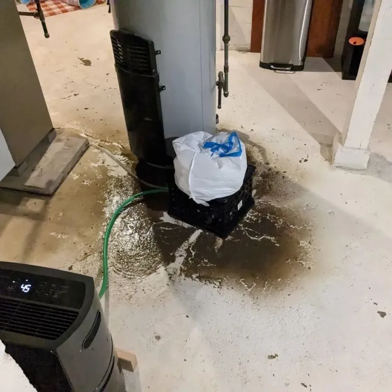 Sewage Backup Cleanup Service in Luzerne County, PA